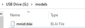 blai_mnist_demo_model_path